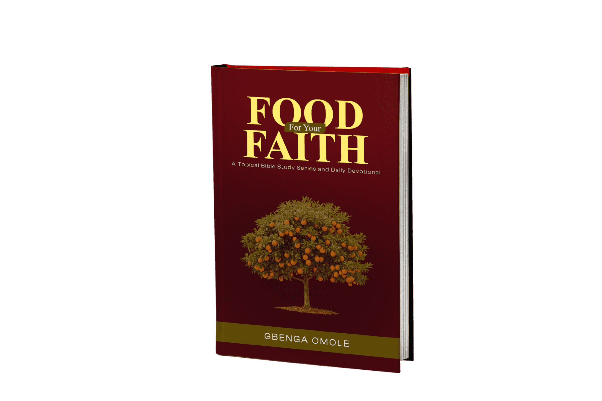 book mockup